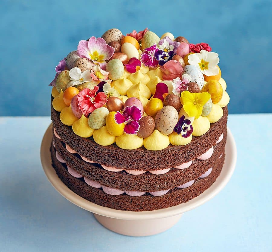 Chocolate & vanilla celebration cake